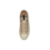 Chuck Taylor All Star “Beige Brown”
