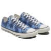 Chuck Taylor All Star “Blue Sunset Palm”