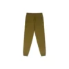 Go-To Embroidered Star Chevron Standard-Fit Fleece Sweatpant Asia Sizing “Green”