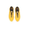 Skidgrip CVO “Gold Dart”