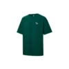 Unisex Chuck Embroidery Knitted Green